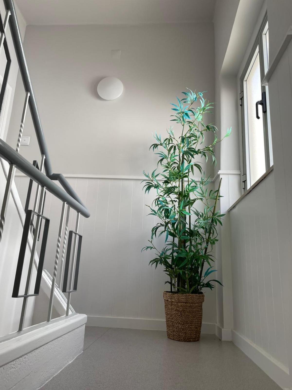 ナザレLugar Dos Avosアパートメント 部屋 写真